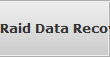 Raid Data Recovery Champaign raid array